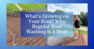 blue gradient to white border two images of a roof. Left is close up, right is man spraying the roof - text reads What's Growing on Your Roof? Why Regular Roof Washing is a Must